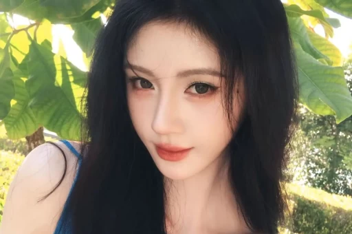 境外组织助躺平网红